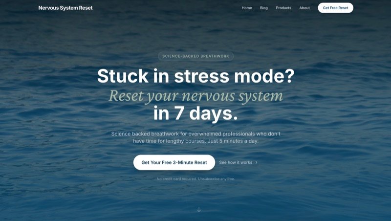 Nervous System Reset website